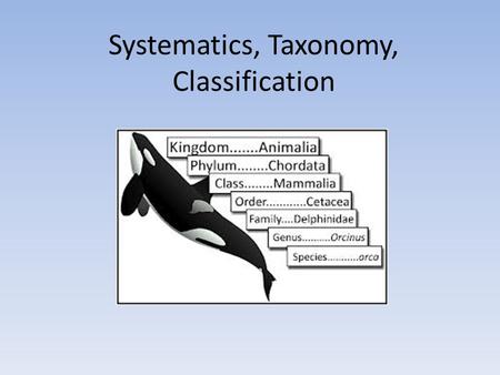 Systematics, Taxonomy, Classification. Systematics The branch of biology that involves classifying living things, both current and prehistoric. It has.