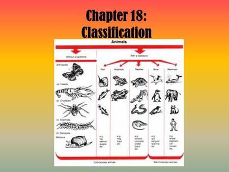 Chapter 18: Classification