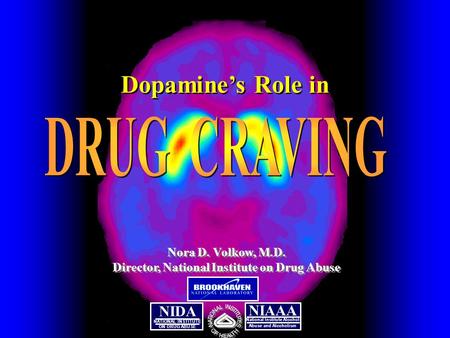 NATIONAL INSTITUTE ON DRUG ABUSE NIDA NIAAA National Institute Alcohol Abuse and Alcoholism Nora D. Volkow, M.D. Director, National Institute on Drug Abuse.