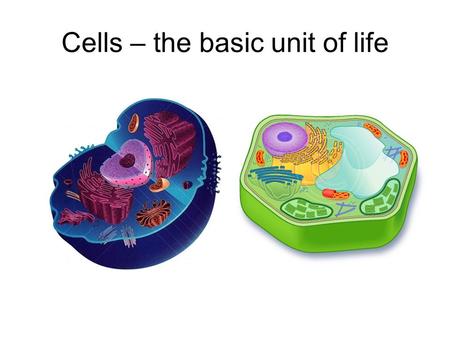 Cells – the basic unit of life