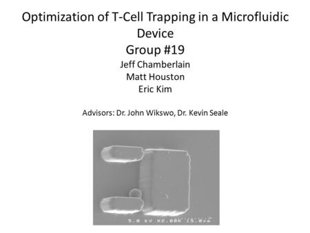 Optimization of T-Cell Trapping in a Microfluidic Device Group #19