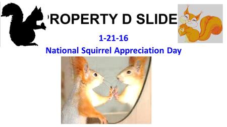 PROPERTY D SLIDES 1-21-16 National Squirrel Appreciation Day.