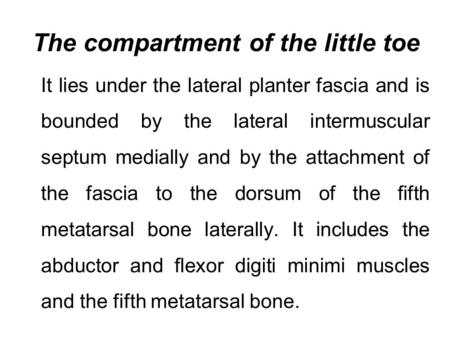 The compartment of the little toe It lies under the lateral planter fascia and is bounded by the lateral intermuscular septum medially and by the attachment.