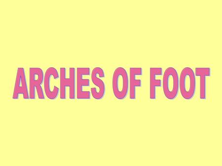 Arteries Blood supply to the foot is by branches of the posterior tibial and dorsalis pedis (dorsal artery of the foot) arteries.