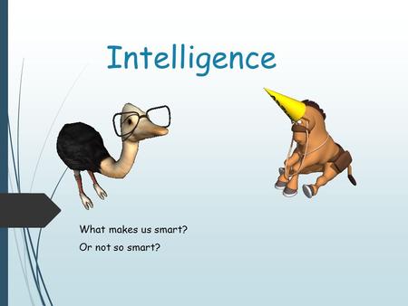 Intelligence What makes us smart? Or not so smart?