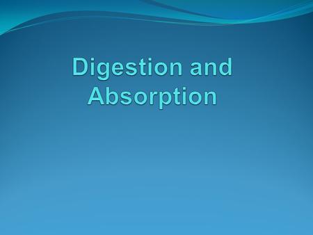 - No absorption in esophagus, little in the stomach and vast majority of absorption occurs in small intestine. - The small intestine has specialized structures.