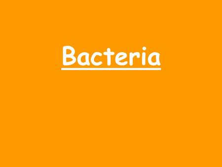 Bacteria. Characteristics of Bacteria. Smallest and simplest living thing Have no organelles, including no nucleus Genetic material = simple circular.