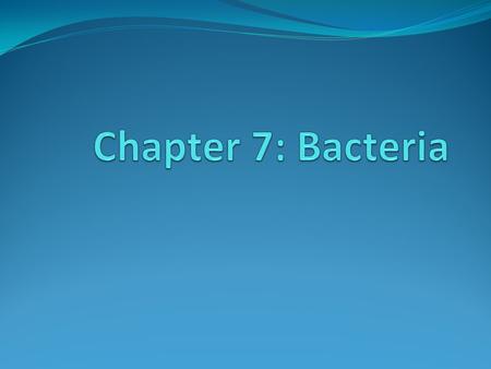 Aim: What are the characteristics of bacteria? Bacteria Antonie van Leeuwenhoek discovered bacteria Are in the air, foods, surfaces of things we touch.