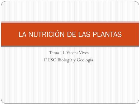 LA NUTRICIÓN DE LAS PLANTAS