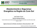 Abastecimento e Segurança Energética na Região do Cone Sul Santa Cruz de la Sierra, 20 de agosto de 2008 I Congresso Internacional Bolívia Gás e Energia.