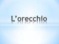 È un organo di senso con 2 funzioni: - percepire i suoni; - raccogliere informazioni riguardo ai movimenti per farci mantenere l’equilibrio. È diviso.