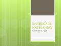 DIVERSIDADE NAS PLANTAS PLANTAS COM FLOR. Constituição das plantas com flor Existe uma enorme variedade de plantas com flor, de diferentes formas, cores.