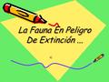 La Fauna En Peligro De Extinción... La Fauna En Peligro De Extinción...