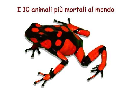 I 10 animali più mortali al mondo. Un bruco in grado di mimetizzarsi molto bene e quindi difficile da vedere. Si trova in Brasile e soltanto di recente.