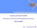 Fondo Multilateral de Inversiones Reunión de Clúster TIC 2009 Sindirepa-sp – Sindicato da Indústria de Reparação de Veículos MecanicaBID Lima, … de noviembre.