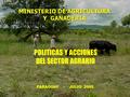 PARAGUAY - JULIO 2005 POLITICAS Y ACCIONES DEL SECTOR AGRARIO MINISTERIO DE AGRICULTURA Y GANADERIA.