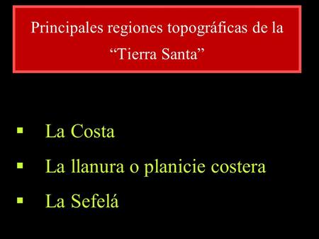 Principales regiones topográficas de la “Tierra Santa”  La Costa  La llanura o planicie costera  La Sefelá.