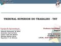 TRIBUNAL SUPERIOR DO TRABALHO - TST Eduardo Raimundo da Silva Erisvelte José de Brito Luana Costa dos Santos Mariana Xaênia Abreu Napoleão P. de Oliviera.