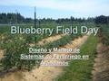 Blueberry Field Day Diseño y Manejo de Sistemas de Fertirriego en Arándanos.