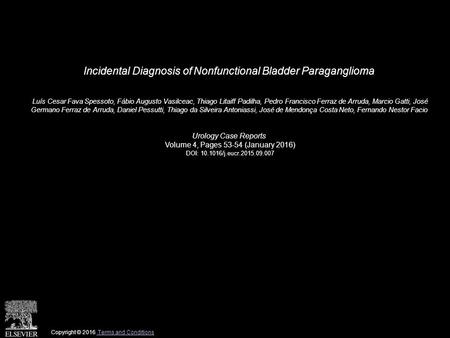 Incidental Diagnosis of Nonfunctional Bladder Paraganglioma Luís Cesar Fava Spessoto, Fábio Augusto Vasilceac, Thiago Litaiff Padilha, Pedro Francisco.