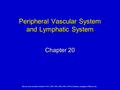 Elsevier items and derived items © 2012, 2008, 2004, 2000, 1996, 1992 by Saunders, an imprint of Elsevier Inc. Peripheral Vascular System and Lymphatic.