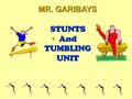 STUNTS And TUMBLING UNIT STUNTS And TUMBLING UNIT MR. GARIBAYS MR. GARIBAYS.