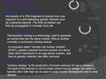 3 therapeutic cloning 1 recombinant DNA technology or DNA cloning, 2 reproductive cloning the transfer of a DNA fragment of interest from one organism.