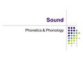 Sound Phonetics & Phonology. General considerations Speech sounds and sounds that convey meaning Their patterns Sound change.