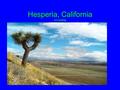 Hesperia, California our setting. Materials Tia Lola Novel Bubble map worksheet or paper for drawing the bubble map Large paper for posters Crayons or.