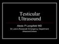 Testicular Ultrasound