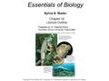 Essentials of Biology Sylvia S. Mader