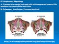 IV. Respiratory Physiology A. Purpose is to supply body and cells with oxygen and remove CO2 produced through cellular activities B. Pulmonary Ventilation.