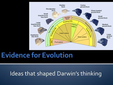 Ideas that shaped Darwin’s thinking. The story of the Soapberry bug and the antibiotic resistant bacteria.