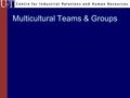 Multicultural Teams & Groups. Class Discussion Discuss experiences in lego block exercise in terms of Cultural Intelligence concepts –Meta cognitive –Cognitive.