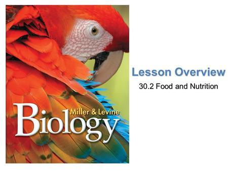 Lesson Overview 30.2 Food and Nutrition. Lesson Overview Lesson Overview Food and Nutrition THINK ABOUT IT When you feel hungry, do you feel weak and.