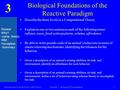 3 Introduction to AI Robotics (MIT Press)Chapter 3: Biological Foundations1 Biological Foundations of the Reactive Paradigm Review Why? -comp. theory IRM.