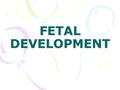 FETAL DEVELOPMENT. FERTILIZATION Begins with 46 pair of chromosomes, splits off to 23 then combine for a unique new 46 pair.