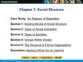 Social Structure Original Content Copyright © Holt McDougal. Additions and changes to the original content are the responsibility of the instructor. Chapter.