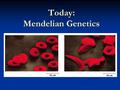 Today: Mendelian Genetics. Mendelian Genetics: Consider this…. 8 million possible chromosome combinations in each egg, and each sperm… = >70 trillion.