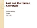 Loci and the Human Karyotype Honors Biology Unit 5 2012-2013.