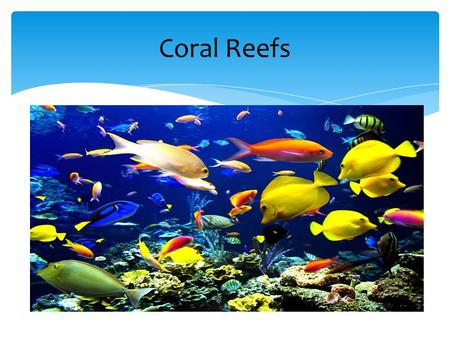 Coral Reefs.  Calcium carbonate (CaCO 3 ) makes up coral reefs.  Limestone is left over when animals grow and die.  This carbon containing molecule.