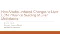 How Alcohol-Induced Changes to Liver ECM Influence Seeding of Liver Metastases S HANICE H UDSON G RADUATE R ESEARCH F ELLOW U NIVERSITY OF L OUISVILLE.