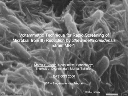 Voltammetric Technique for Rapid Screening of Microbial Iron(III) Reduction by Shewanella oneidensis strain MR-1 Morris E. Jones, Christine M. Fennessey*,