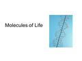 Molecules of Life. Section 2 Molecules of Life Chapter 3 Carbohydrates Carbohydrates are organic compounds composed of carbon, hydrogen, and oxygen in.