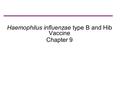 Haemophilus influenzae type B and Hib Vaccine Chapter 9.