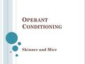 O PERANT C ONDITIONING Skinner and Mice. C LASSICAL C ONDITIONING V S O PERANT C ONDITIONING Actions that are AUTOMATIC responses to a stimulus Behavior.