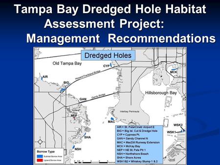 Tampa Bay Dredged Hole Habitat Assessment Project: Management Recommendations.