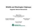 Wildlife and Washington Highways Ungulate Vehicle Interactions Olympia, Washington February 25, 2007 Marion Carey Fish and Wildlife Program Manager Environmental.