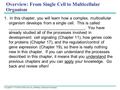 Copyright © 2005 Pearson Education, Inc. publishing as Benjamin Cummings Overview: From Single Cell to Multicellular Organism 1. In this chapter, you will.