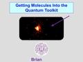 Getting Molecules Into the Quantum Toolkit Brian Odom.